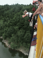 bungee.gif